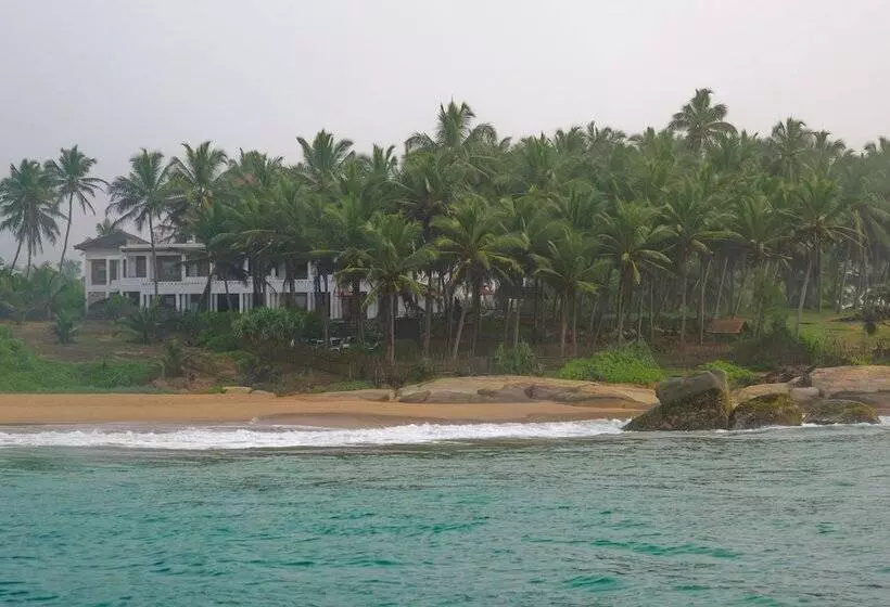 Fotos del hotel Turtle Bay:  12