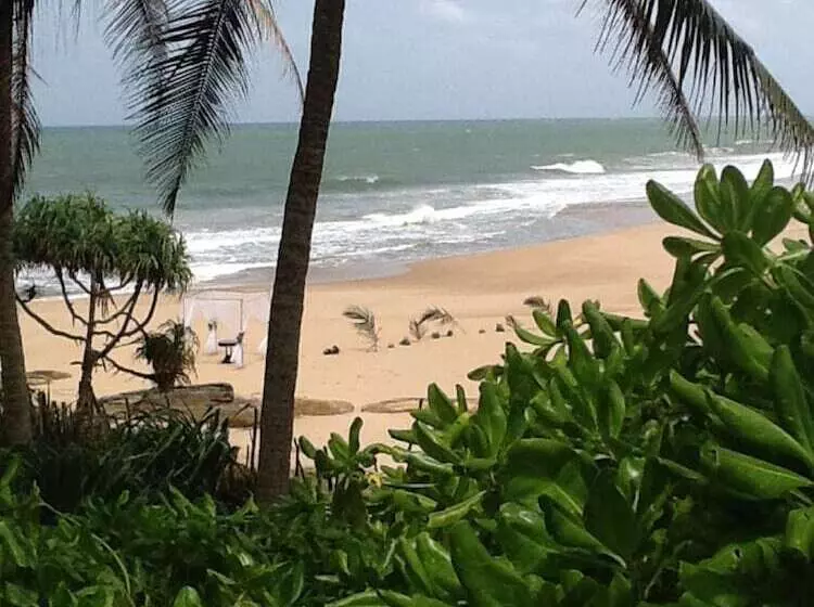 Fotos del hotel Turtle Bay:  7