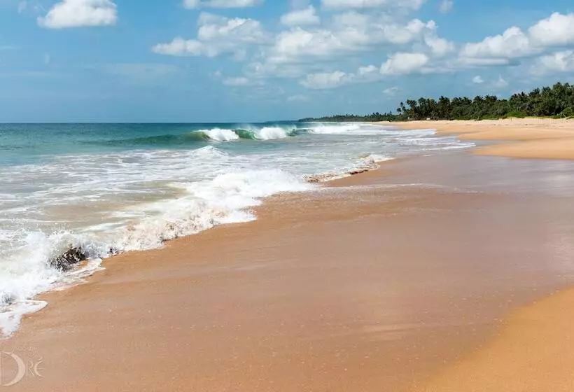 Fotos del hotel Turtle Bay:  8