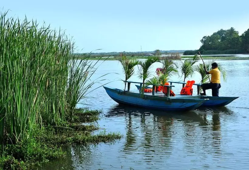 Fotos del hotel Turtle Bay:  13