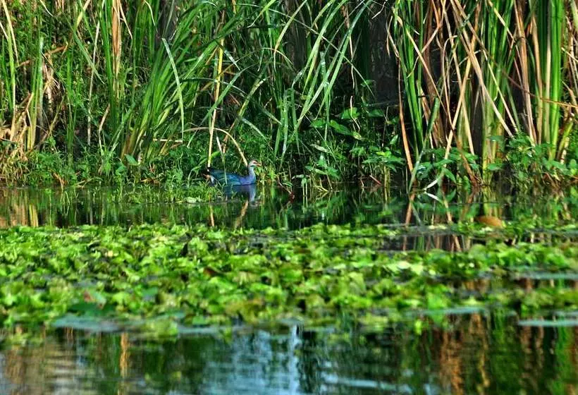 Fotos del hotel Turtle Bay:  4