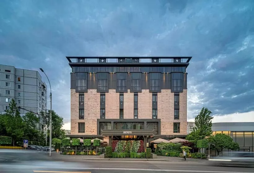 Berds Chisinau Mgallery  Collection