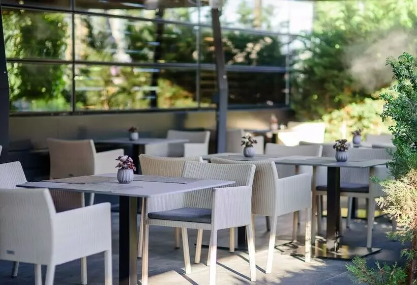 Fotos del hotel Berds Chisinau Mgallery  Collection:  7