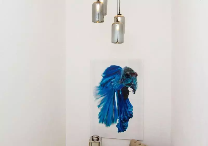 Fotos del hotel Gansevoort Dominican Republic, Playa Imbert:  6