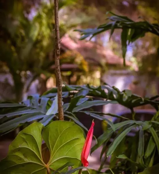 Fotos del hotel Zawadi House Lodge:  17