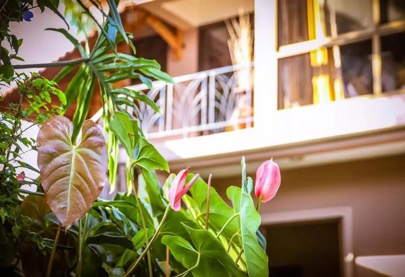 Fotos del hotel Zawadi House Lodge:  14