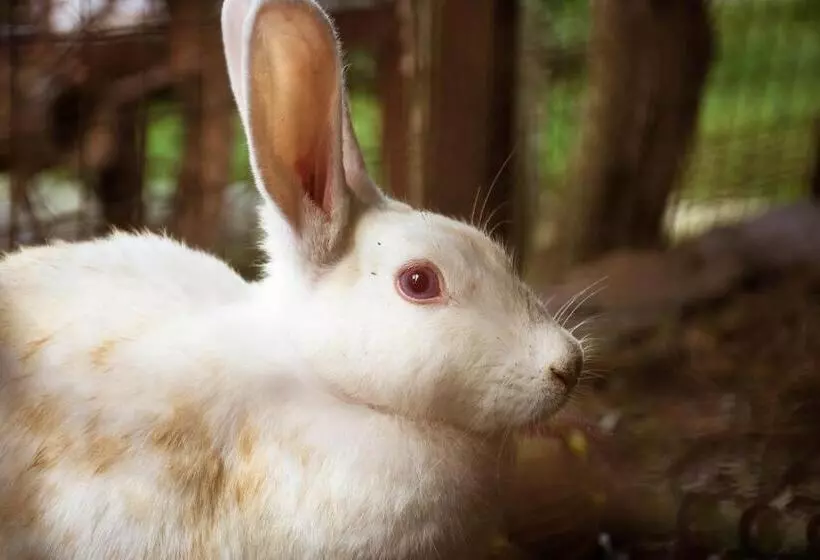 Fotos del hotel Zawadi House Lodge:  3