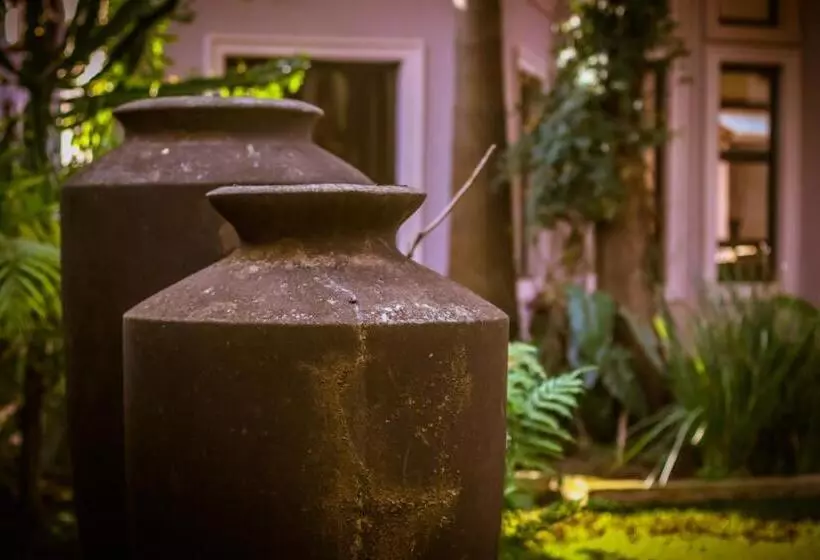 Fotos del hotel Zawadi House Lodge:  15