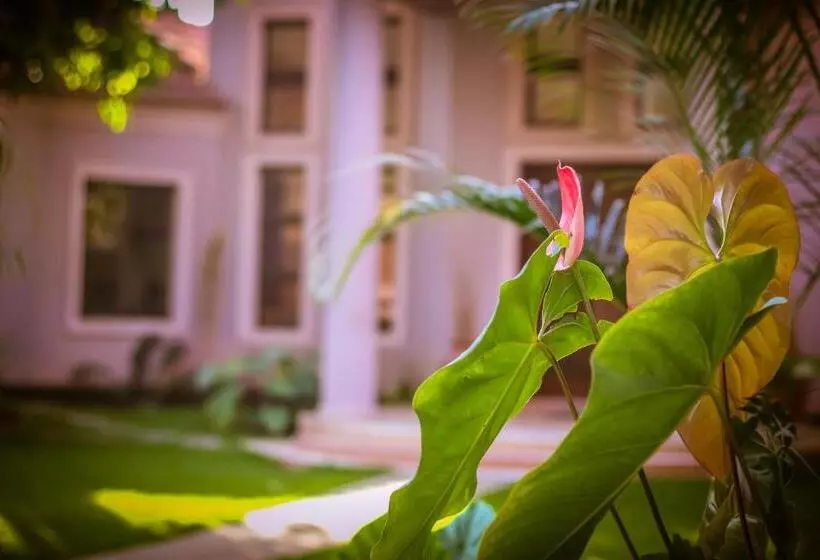 Fotos del hotel Zawadi House Lodge:  12