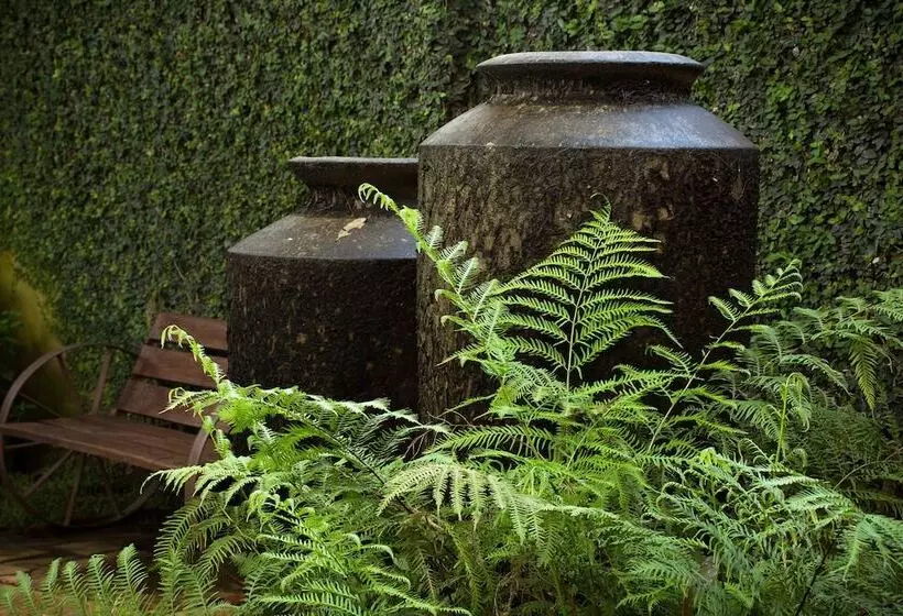 Fotos del hotel Zawadi House Lodge:  6