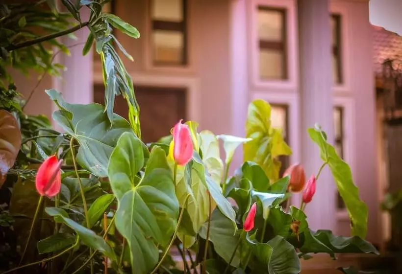 Fotos del hotel Zawadi House Lodge:  20