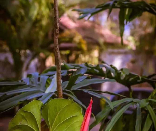 Fotos del hotel Zawadi House Lodge:  19