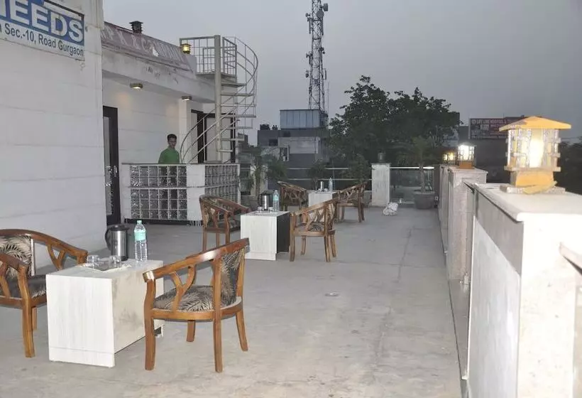 Fotos del hotel Pace:  5