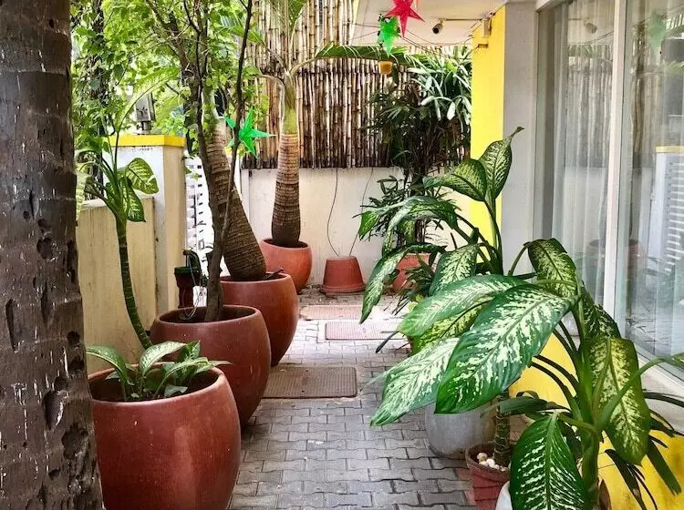 Fotos del hotel Annsun Boutique S:  4