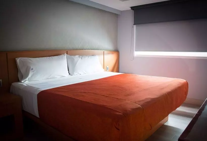 Fotos del hotel El Senador:  15