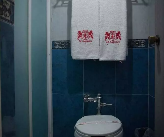 Fotos del hotel El Senador:  7