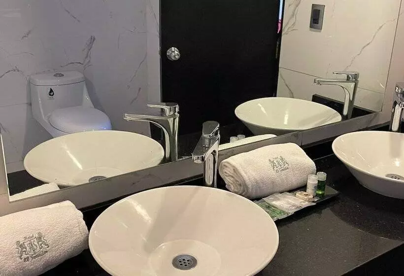 Fotos del hotel El Senador:  14