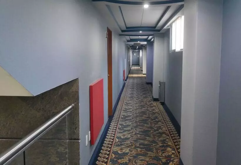 Fotos del hotel El Senador:  9