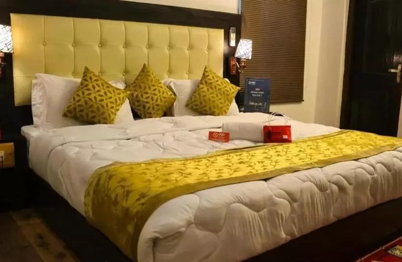 Fotos del hotel Fabhotel Heritage Inn Charbagh:  24