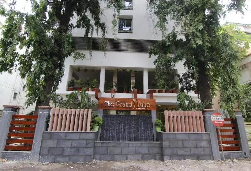 Fotos del hotel The Grand Tulip:  7