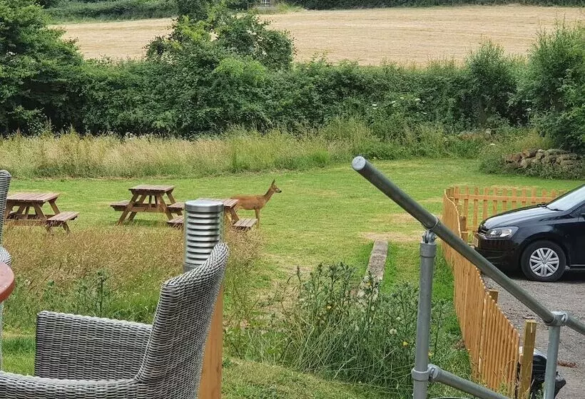 Fotos del hotel The Carpenters Arms:  8