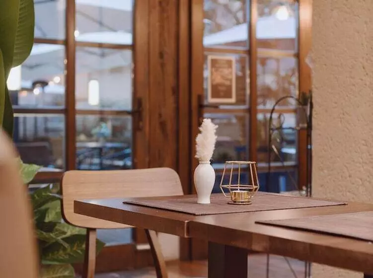 Fotos del hotel Zenit El Coloquio:  14