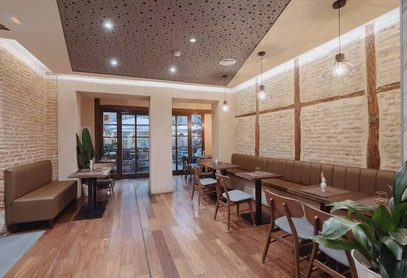 Fotos del hotel Zenit El Coloquio:  7