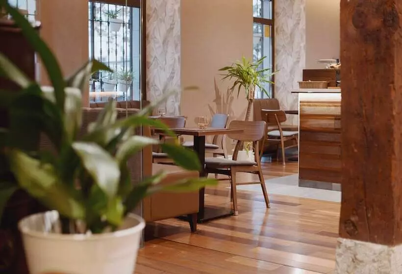 Fotos del hotel Zenit El Coloquio:  2