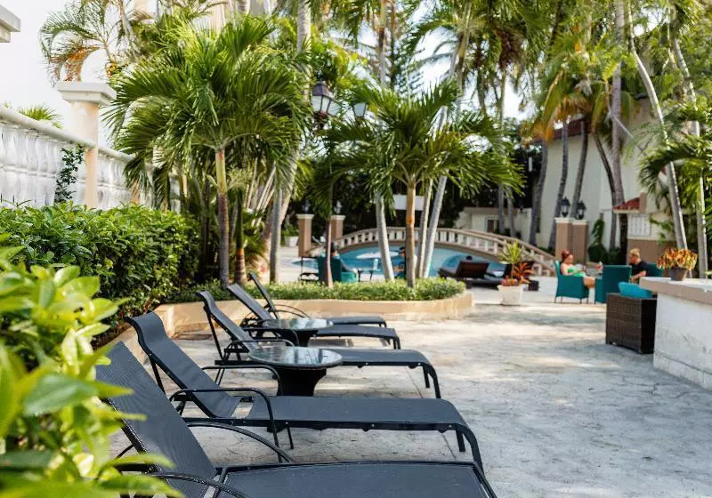 Fotos del hotel The Mt:  14