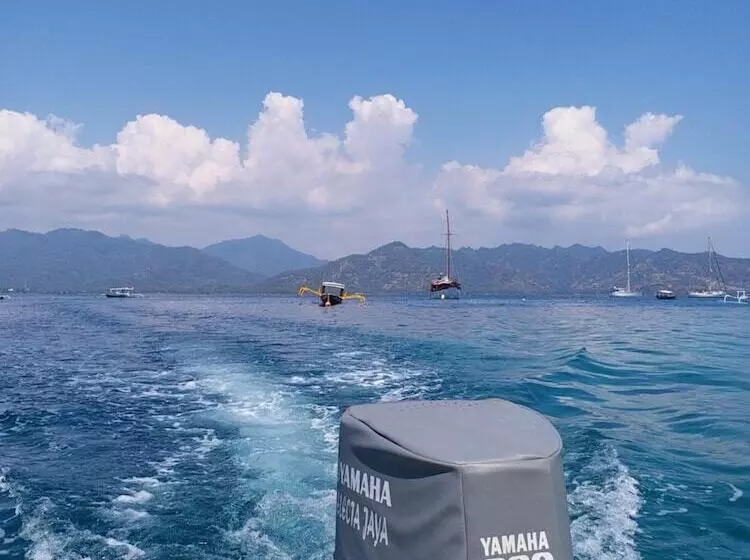 Fotos del hotel Dejavu:  7