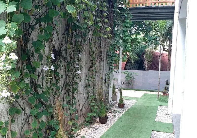 Fotos del hotel Dejavu:  15