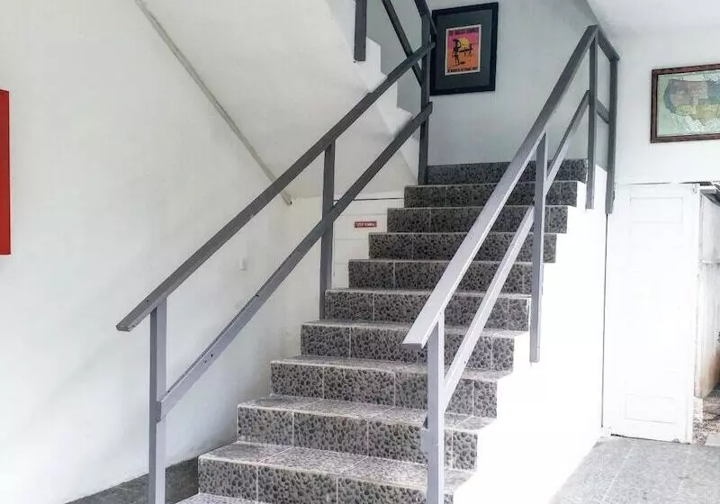 Fotos del hotel Dejavu:  3