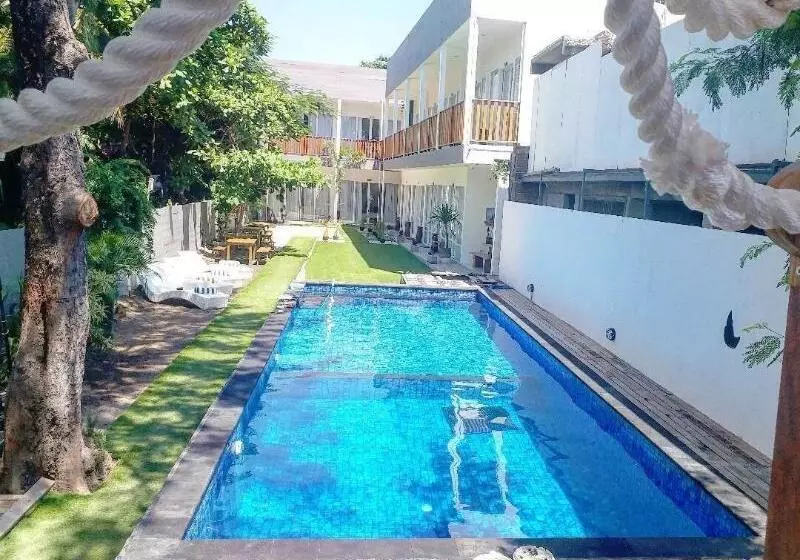 Fotos del hotel Dejavu:  8