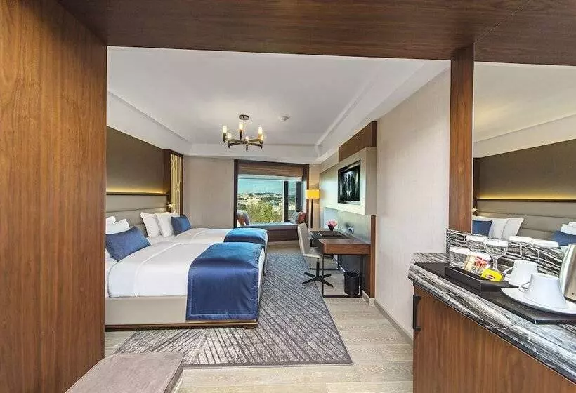 Fotos del hotel Arts Hotel Istanbul - Special Class:  23