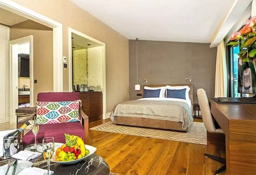 Arts Hotel Istanbul – Special Class