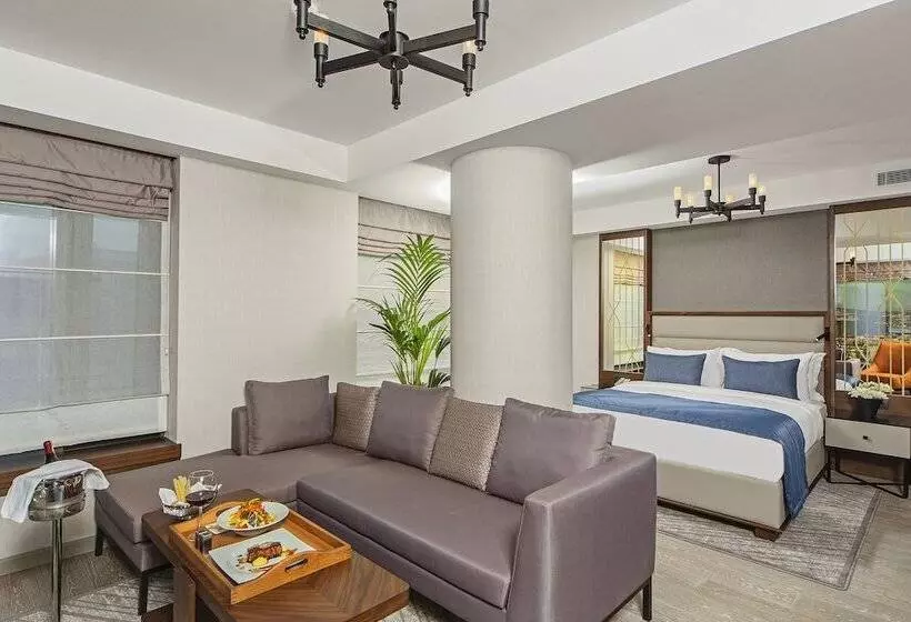 Fotos del hotel Arts Hotel Istanbul - Special Class:  20