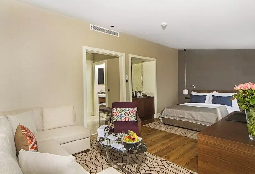 Fotos del hotel Arts Hotel Istanbul - Special Class:  5