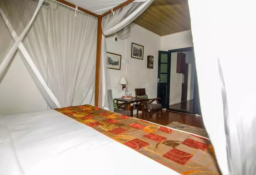 Fotos del hotel Noordin Street House:  17