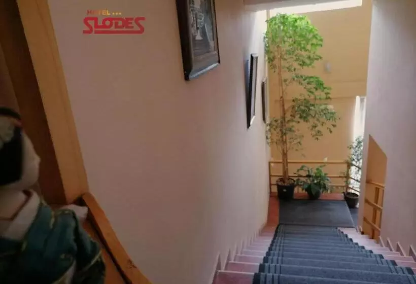 Fotos del hotel Slodes:  24