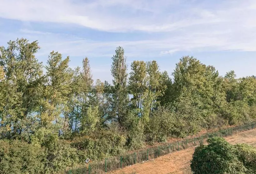 Fotos del hotel Hôtel Roi Soleil Prestige Colmar:  11