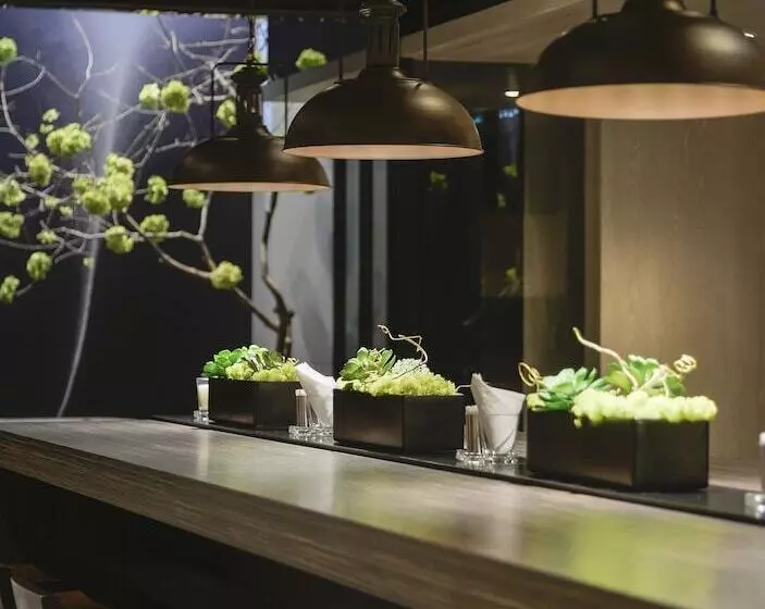 Fotos del hotel Starhaus:  24