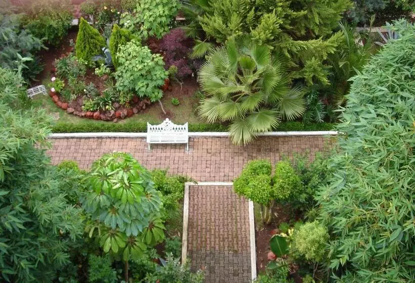 Fotos del hotel Las Américas:  8