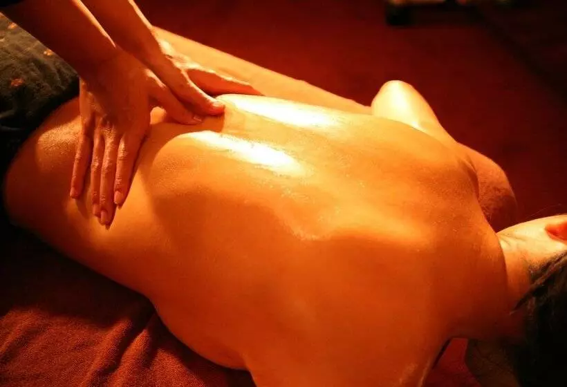 Fotos del hotel & Spa Lotus:  7