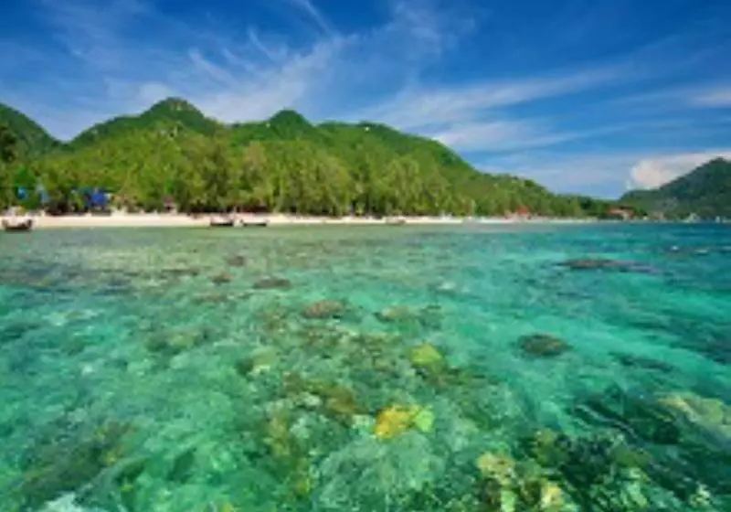 Fotos del hotel Thalassa:  14