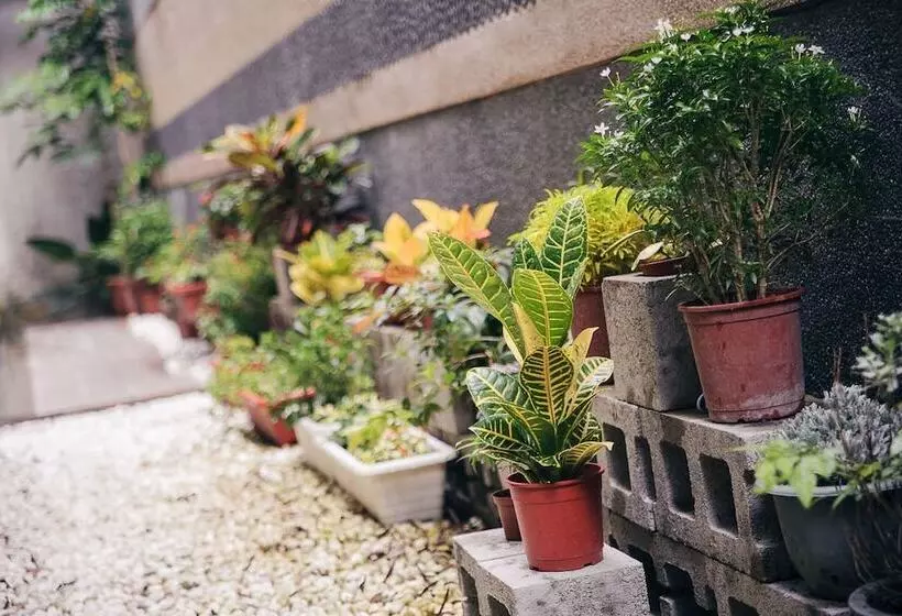 Fotos del hotel Classic Delight:  17