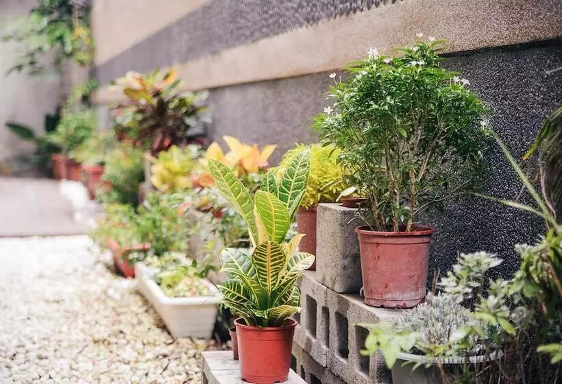 Fotos del hotel Classic Delight:  12