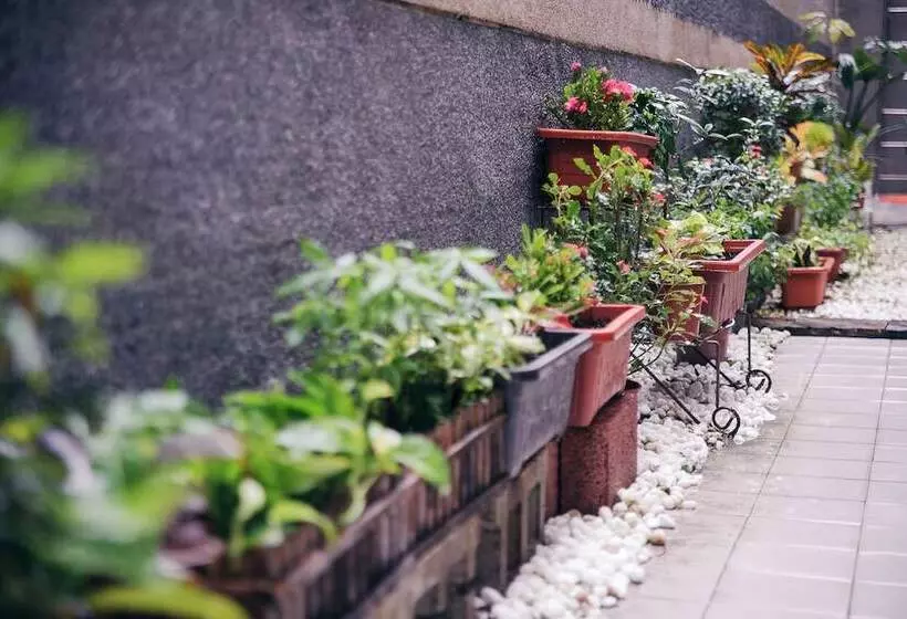 Fotos del hotel Classic Delight:  19