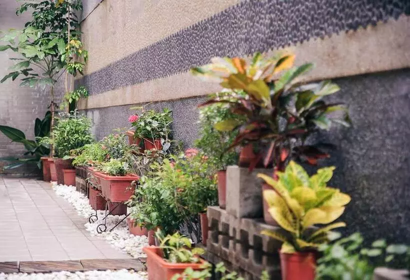 Fotos del hotel Classic Delight:  15