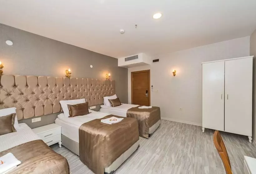 Fotos del hotel Grand Pamir:  9