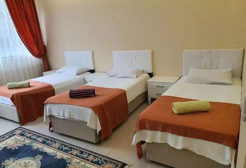 Fotos del hotel Grand Pamir:  11